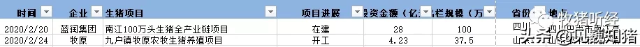 2020年生猪养殖投资情况梳理