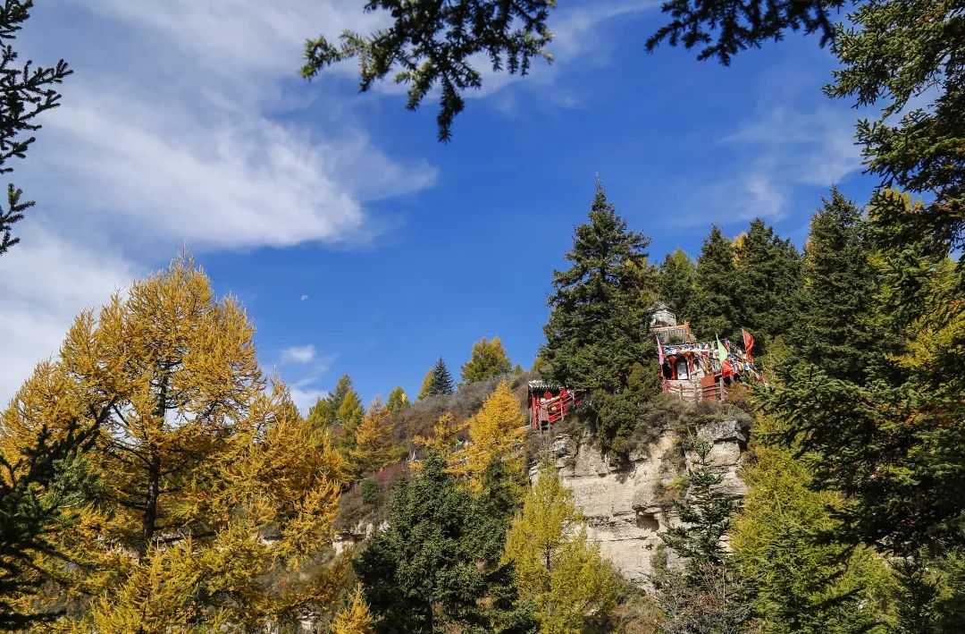 Shanxi's beautiful tourist check-in place, it becomes a paradise on earth in autumn, which is amazing