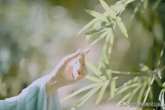 詩詞丨有一種情,不在生活中,卻在生命裡
