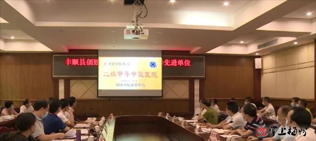 丰顺创建全国基层中医药工作先进单位接受国家级评审