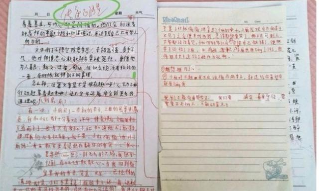 一句作文评语酿成悲剧，教师这个职业，师德远