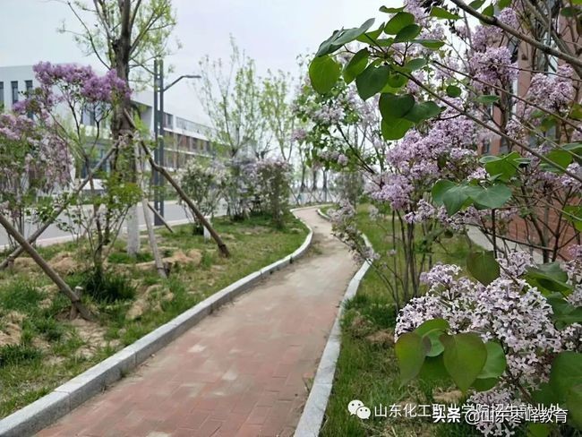 山東化工職業(yè)學院2021五年一貫制、中職招生、高考強化班招生簡章
