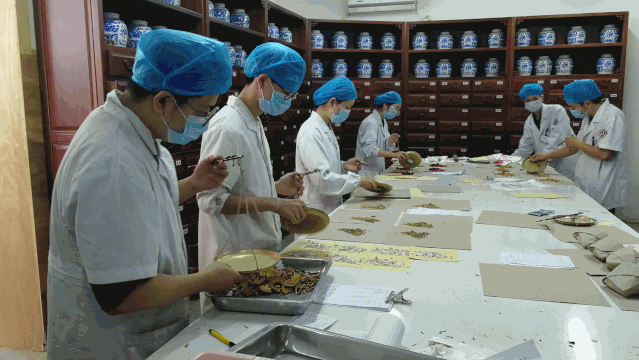 中国中医药报头版头条，肯定中医聪宝智能医共体建设成果