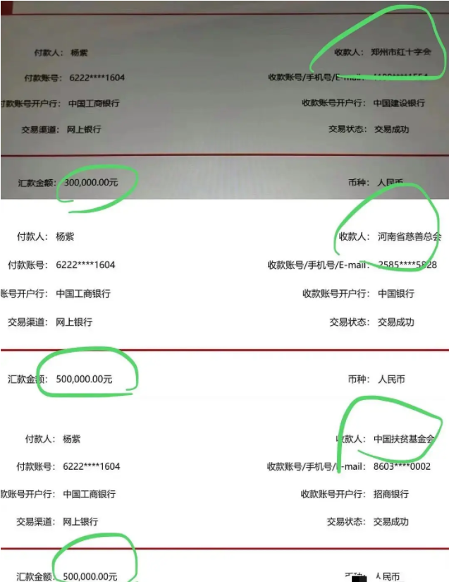 众星捐款河南，杨紫明面捐30万被骂，得知真情后打了多少人的脸-第7张图片-大千世界