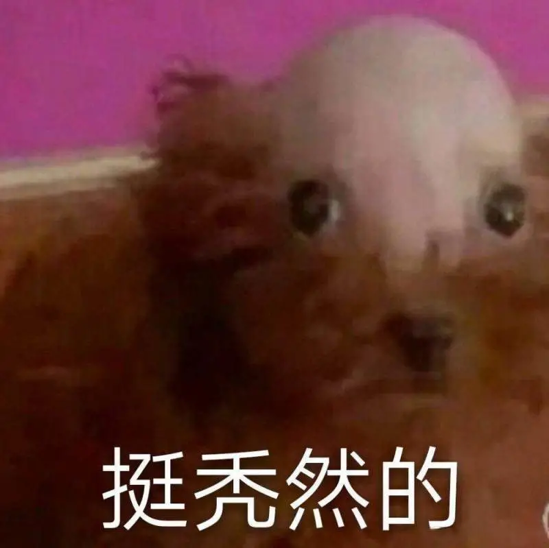 有点秃然！90后真正的烦恼是脱发
