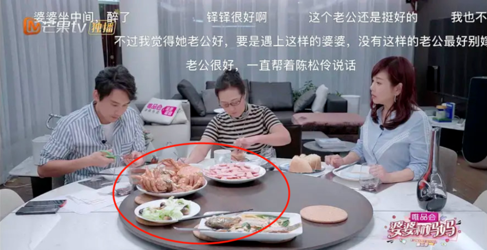 看了伊能静的婆婆后，我终于明白陈松伶婆婆为