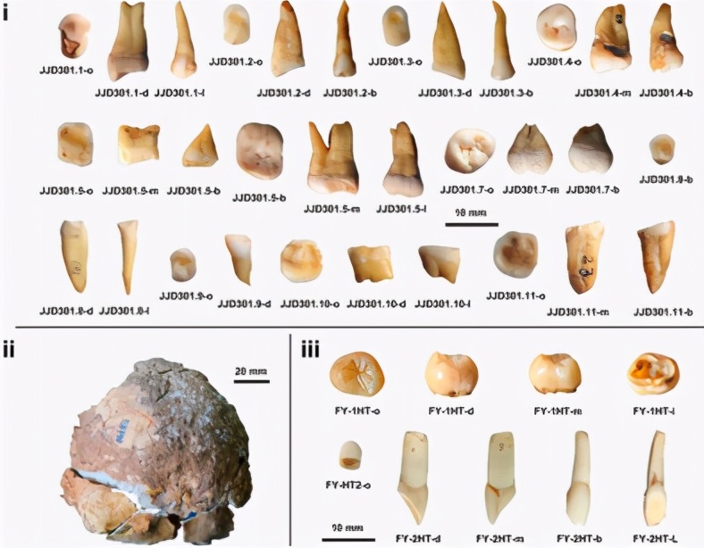 中國人獨立起源，不是非洲？最新證據：現代人來華南不超6萬年