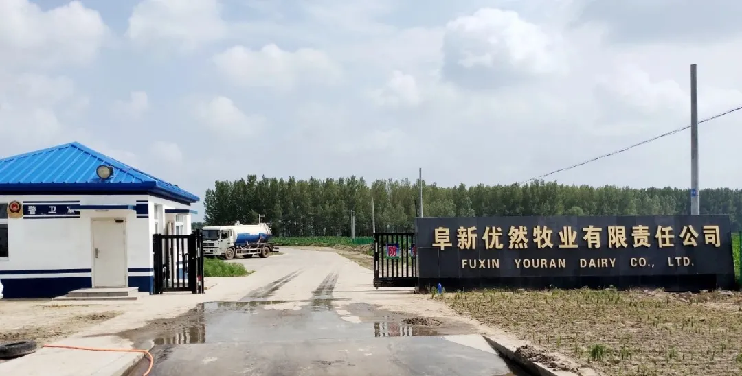 “美丽中国 · 固废智慧循环”系列1—优然牧业奶牛垫料循环再生项目