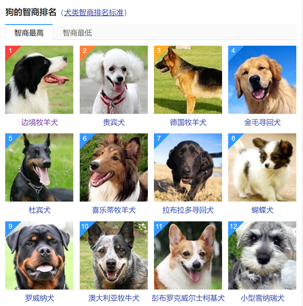 狗的智商排名與普通家庭養狗的性格習慣有沒有關係- 頭條匯