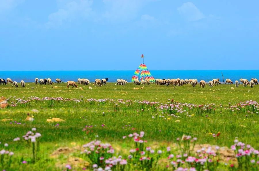 10 places that are most suitable for a person to travel, one every year, OK?