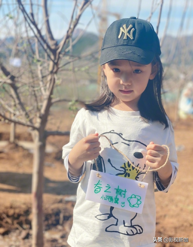 Dong Xuan takes child to enjoy spring! 4 years old of small dimple are planted the tree has a model to have kind, distinctive temperament goes out fully between forehead