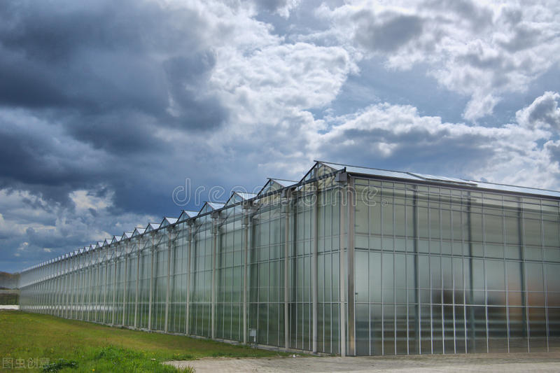 荷兰模式玻璃温室大棚主体结构造价有多高、荷兰温室造价