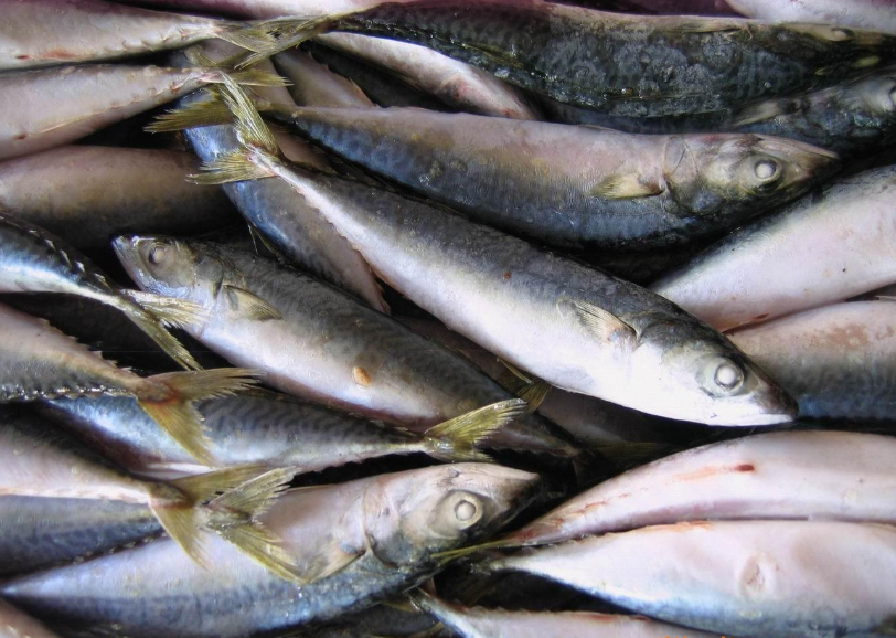 人到中年，不管有錢沒錢，都要常吃這5類食材，對身體好