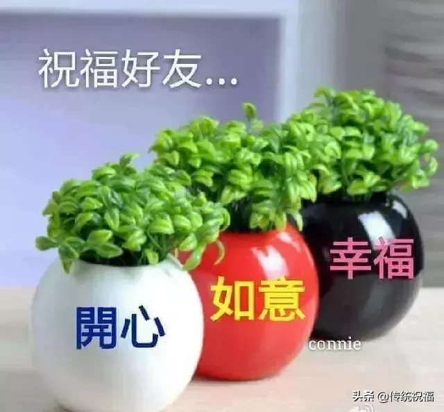新的一天,一声问候。早安