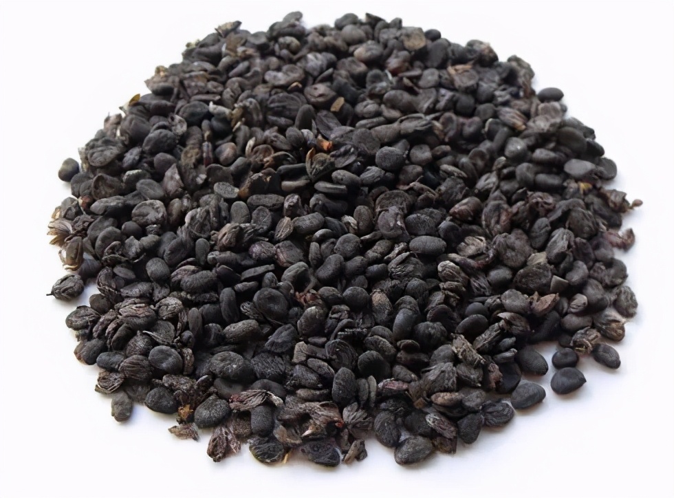 《本草纲目》故事：温肾助阳补骨脂