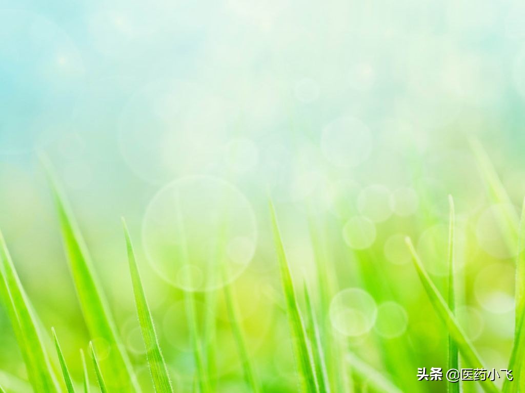 每日医药&mdash;&mdash;头孢噻肟钠