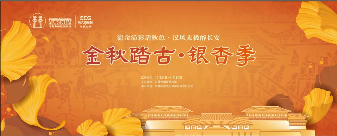 千年银杏,万种风情!西安向北0.5小时,最美的深秋景色回来了