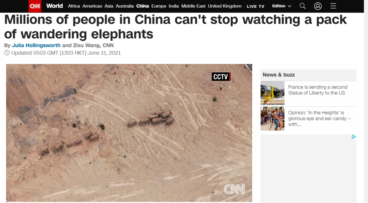 云南象萌翻全世界！外网追直播“吸大象”，夸中国护象措施太可爱