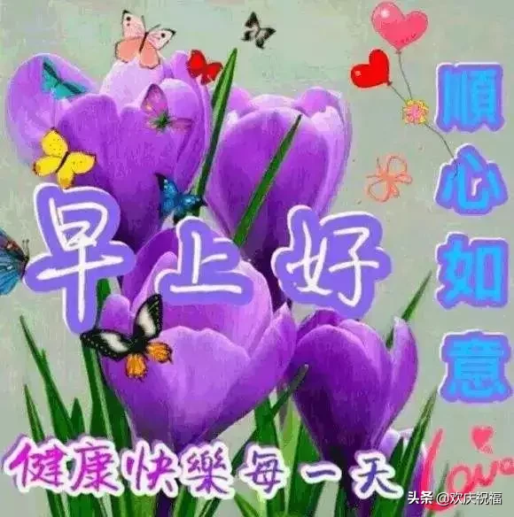 最新特别漂亮的早上好图片，早上好问候语温馨短句图片