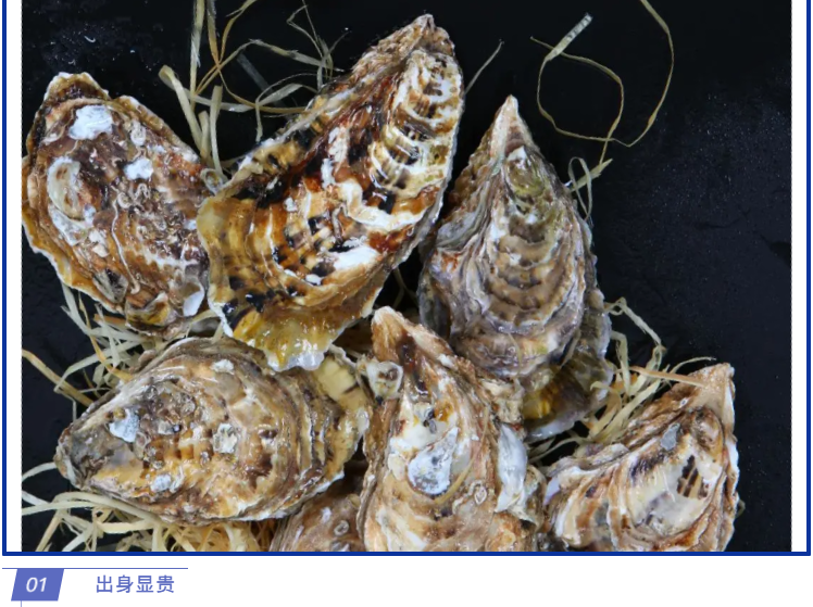 Lacteal hill oyster takes off a beautiful ▎ the self-discipline of unripe oyster of hill of a high grade breast