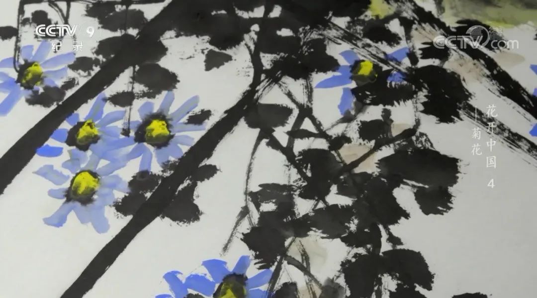 原来“花”也是一种对话，这部纪录片如何记录