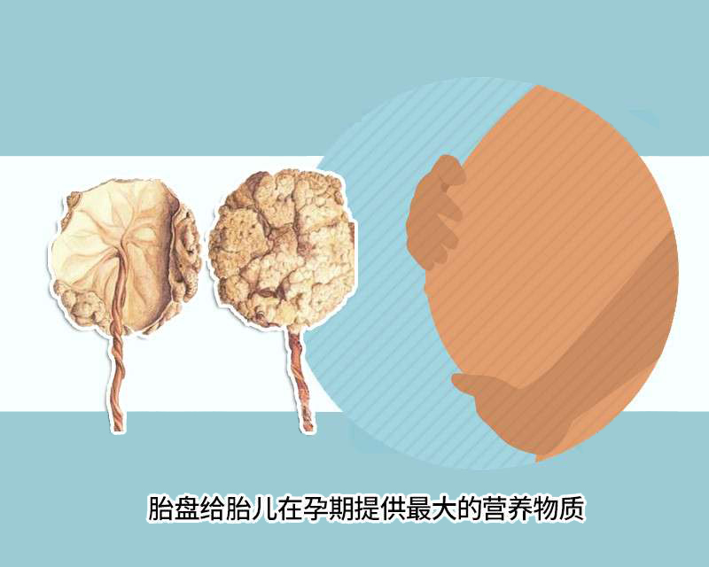 从医废厂、殡仪馆收货？被国人追捧的胎盘，实则只是带血的垃圾