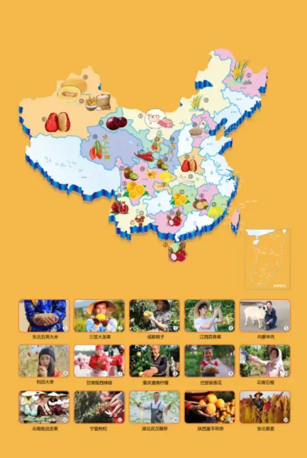 中国农民在减少，农产品为什么能增加？