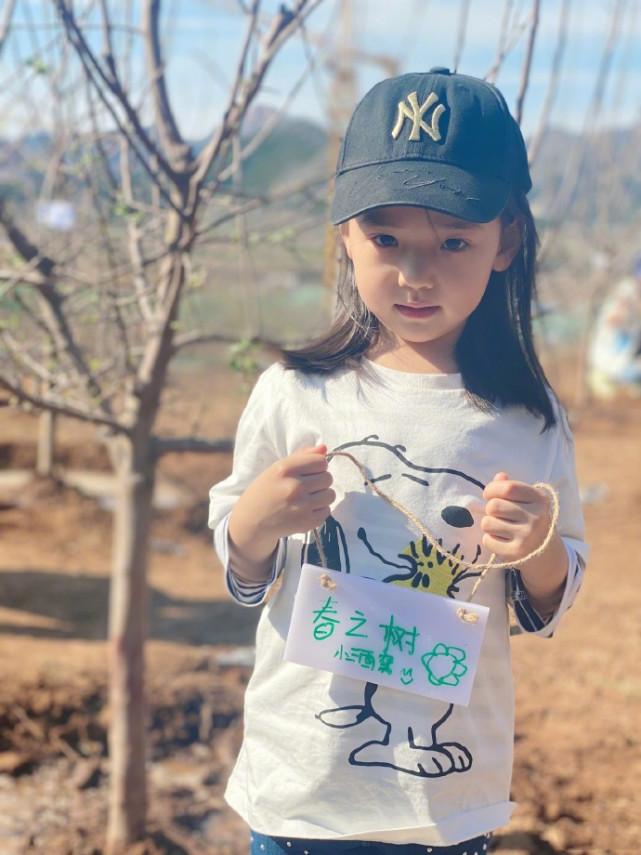 Dong Xuan Pure Brightness takes a daughter to plant tree, 4 years old of small dimple water the individual character that bury earth is independent, 
