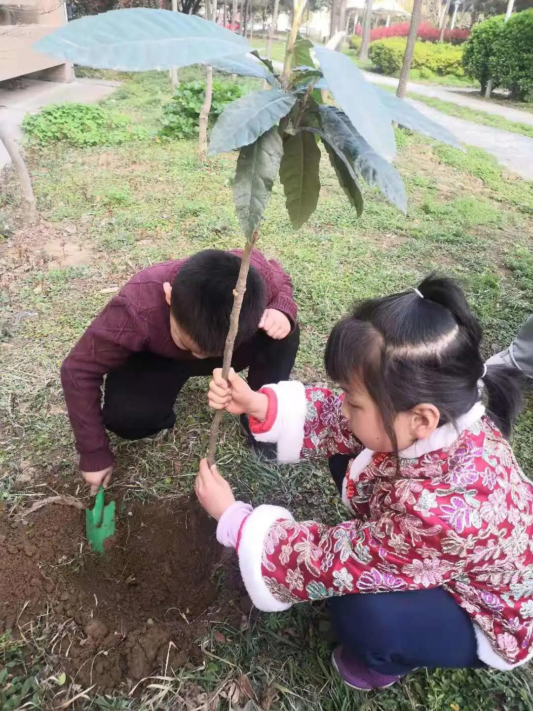 ��֮��.ֲ�̻���--�����еھ�Сѧֲ���ڻ��Ӱ