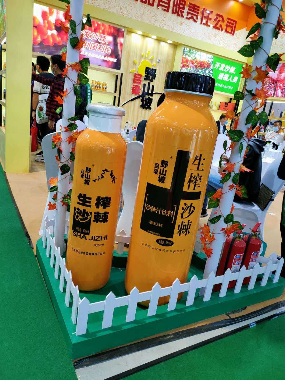 �������̹۲죺���ڼ����Ǿƻῴ��ʲô������һ�������û���Ʒ��
