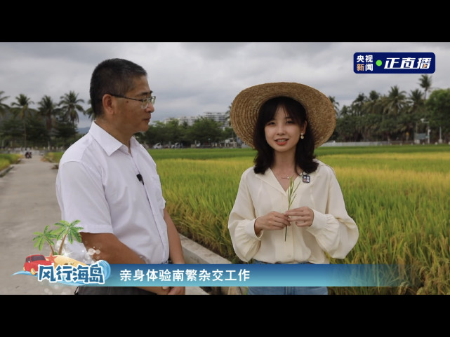 Wang Bingbing became the most beautiful first love goddess!Wearing an ...