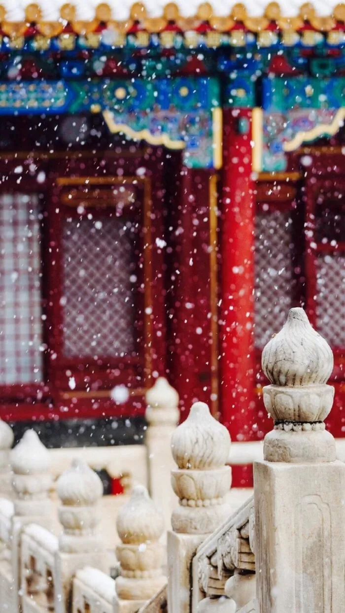 有一种美,叫雪后的中国