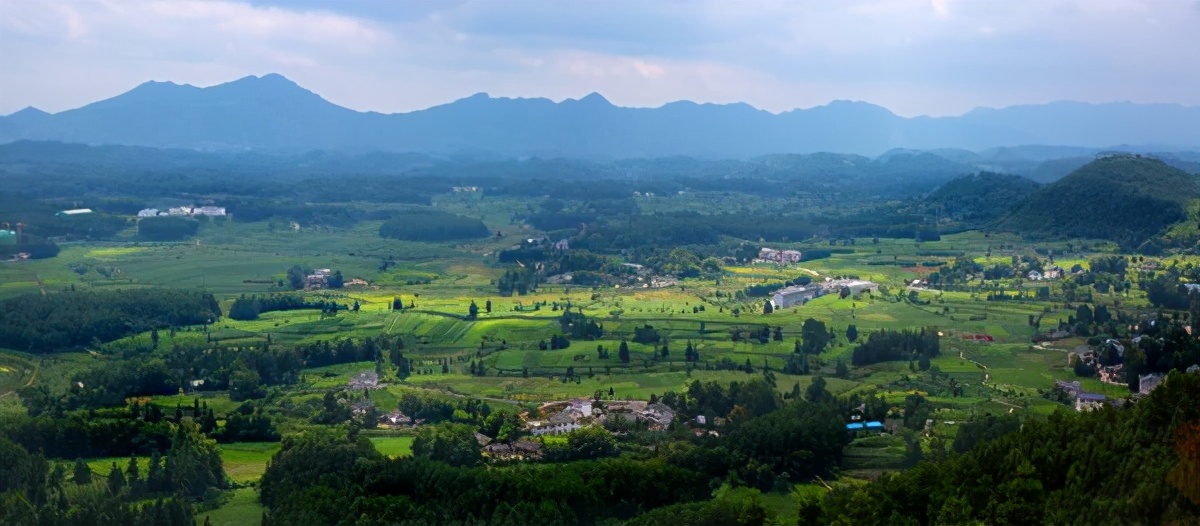 多彩贵州,擦亮茶名片