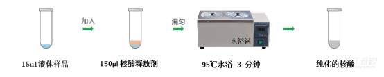 体外诊断中的核酸提取纯化的方法及原理介绍