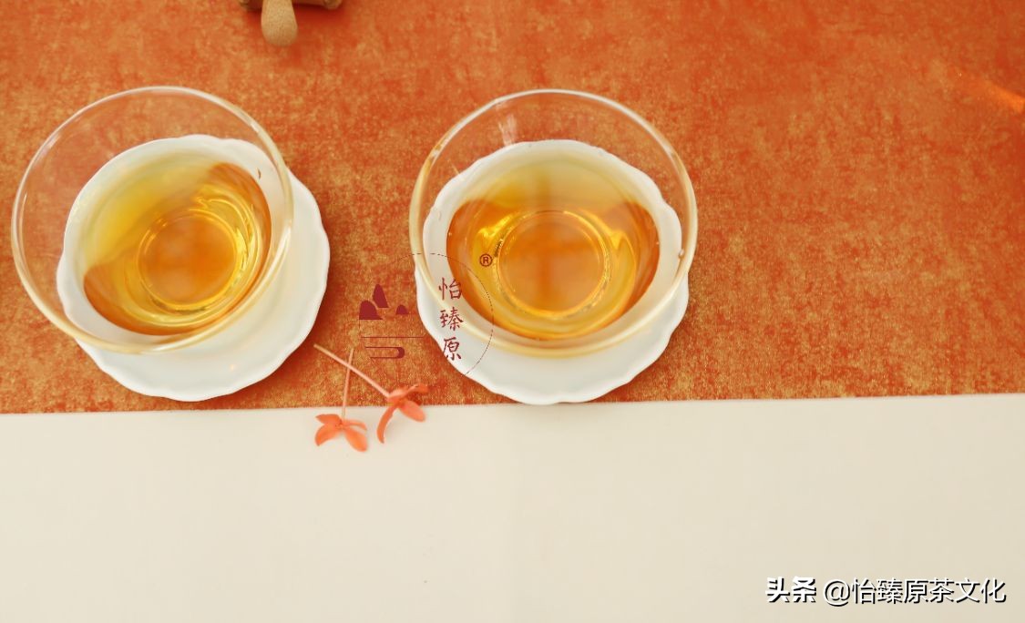 喝茶可養生？ 四季飲茶大不同，喜歡飲茶的你一定要收藏