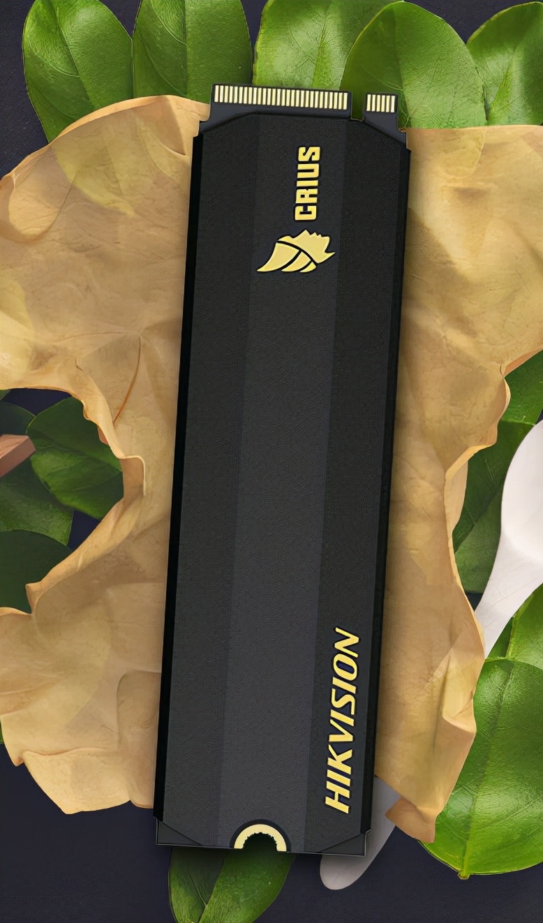 NAS固態(tài)硬盤加速原理和選購指南送上！附黑群暉打補丁教程