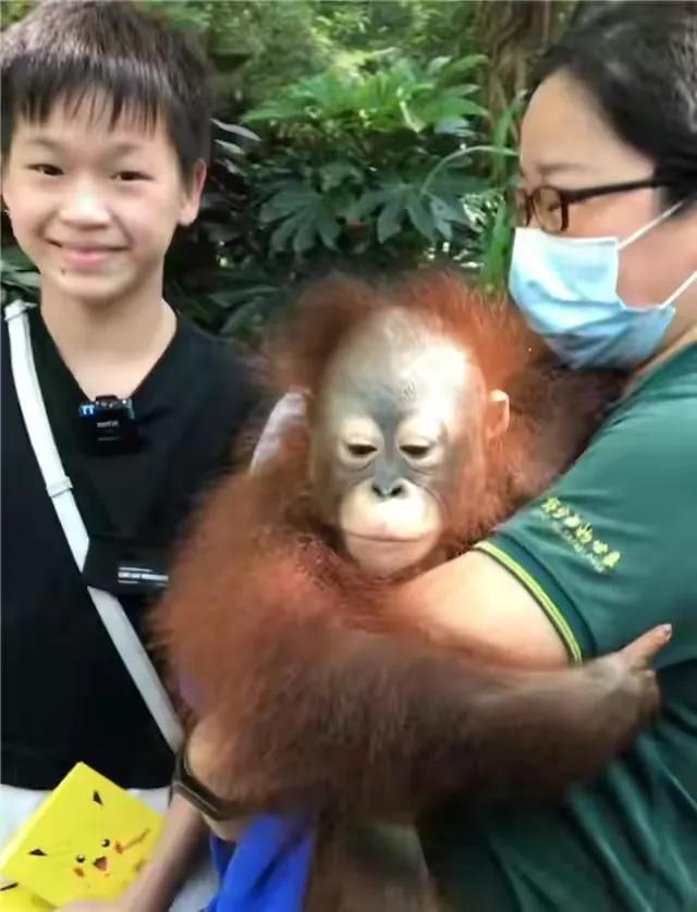 让人心疼！全红婵游玩感受被曝光，网友：杏哥的遗憾已经难以弥补