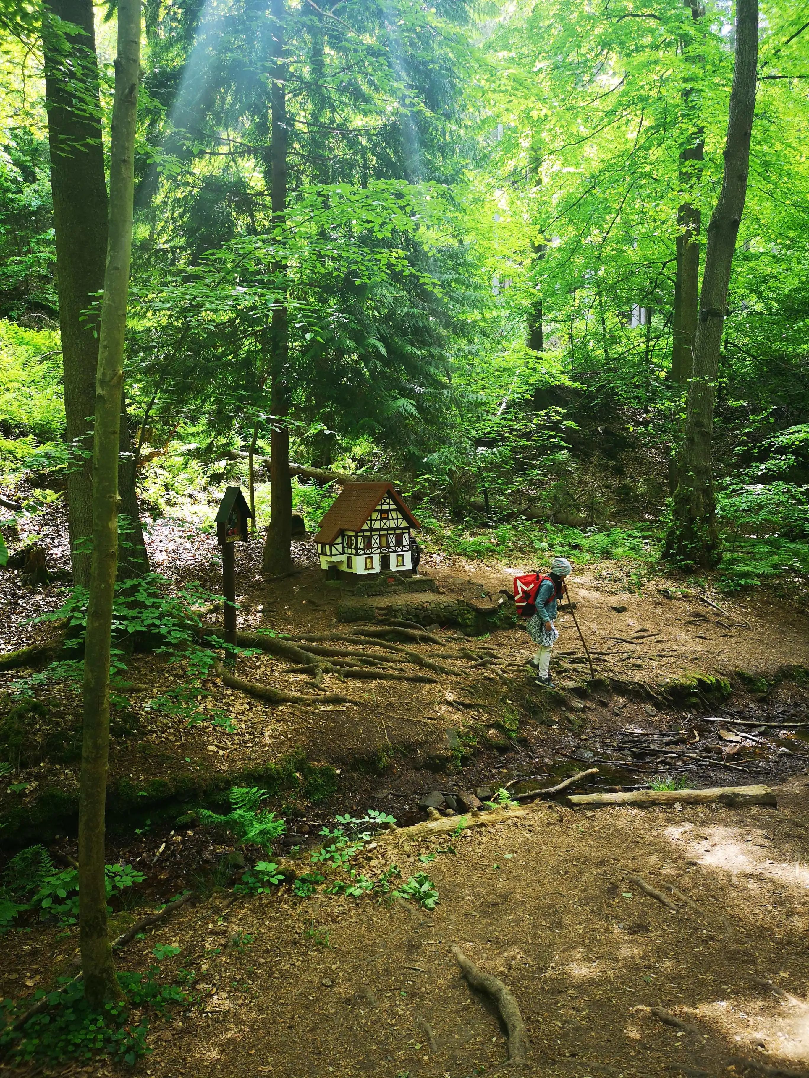 德国UNESCO世界地质公园里的童话小径：儿童探索自然天堂