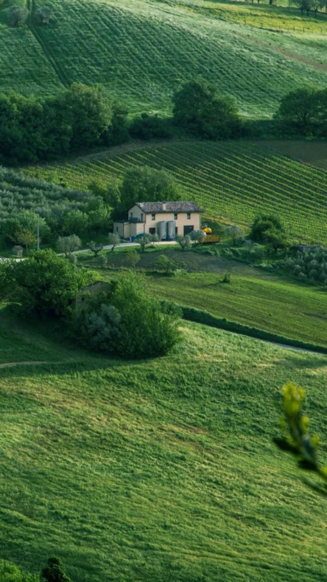 关于春天的句子，文艺清新，美得让人心动！