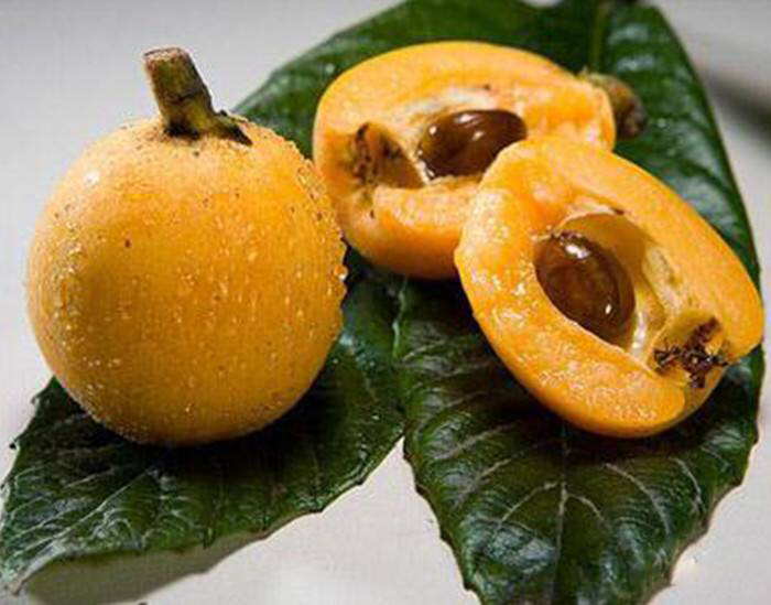 After eating the fruit core, throw it in the flowerpot and grow into a ...