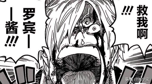 Read One Piece 1020 Spoilers Are Out: Yamato's Devil Fruit, Luffy & Momo's  Return! - OtakuKart