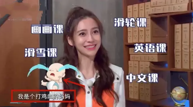 当妈不易！杨乐乐落泪自述鸡娃教育，曾报8个兴