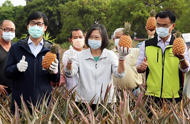 菠蘿禁令：台灣經濟的重擔，壓垮台灣農產品外銷的第一根稻草？