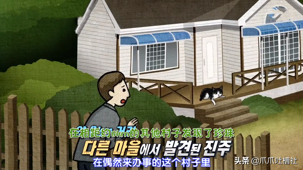 猫咪每日奔袭8公里，只为谈恋爱，谁说异地恋就没有好结局？