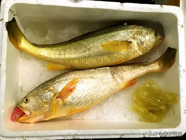 史上最全的顶级“海鱼”海鲜大全,全吃过的你人生就到达了巅峰!