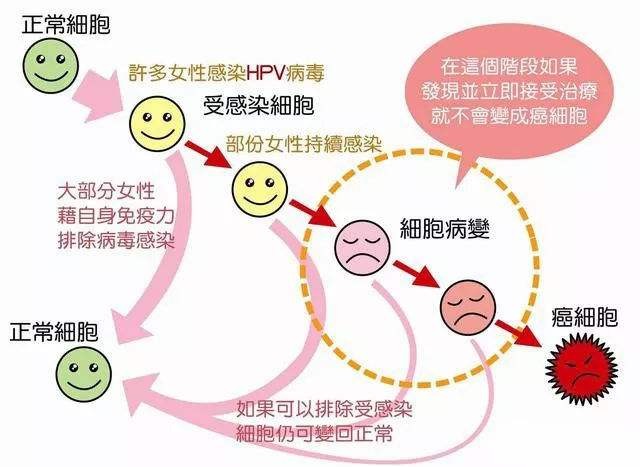 hpv16阳性算不算严重？