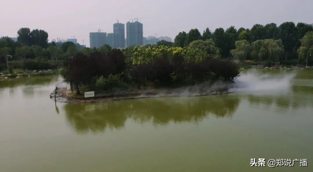 小而美，郑州这些公园你不容错过