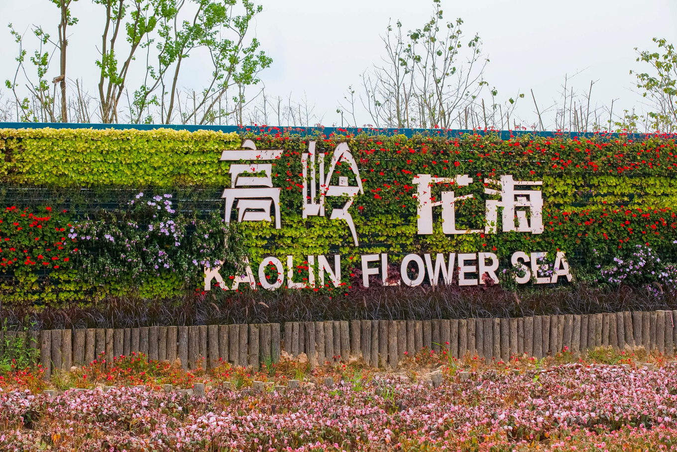 来景德镇旅行不仅有瓷器，还可以漫步在花海中，领略大自然的风光