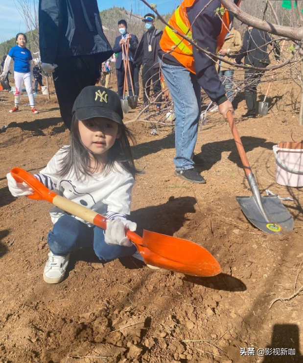 Dong Xuan takes child to enjoy spring! 4 years old of small dimple are planted the tree has a model to have kind, distinctive temperament goes out fully between forehead
