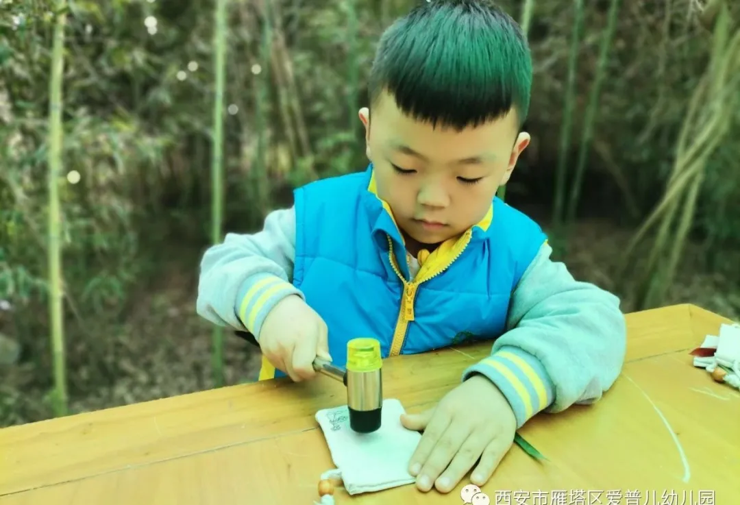 ����عˡ����ն��׶�԰�а�����ѧ��ʵ�߽���δ��